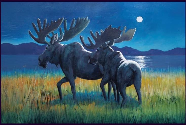 Moonlit Moose