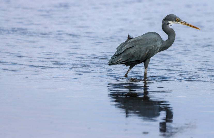 Theodora’s photograph 17