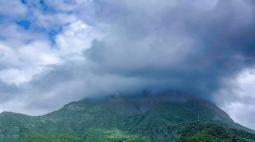 Theodora’s photograph 18