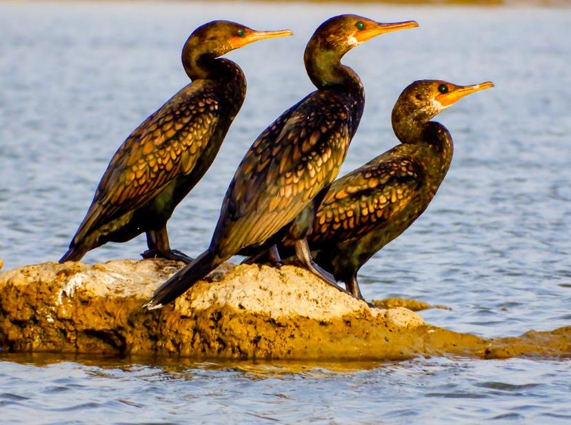 Theodora’s photograph 19