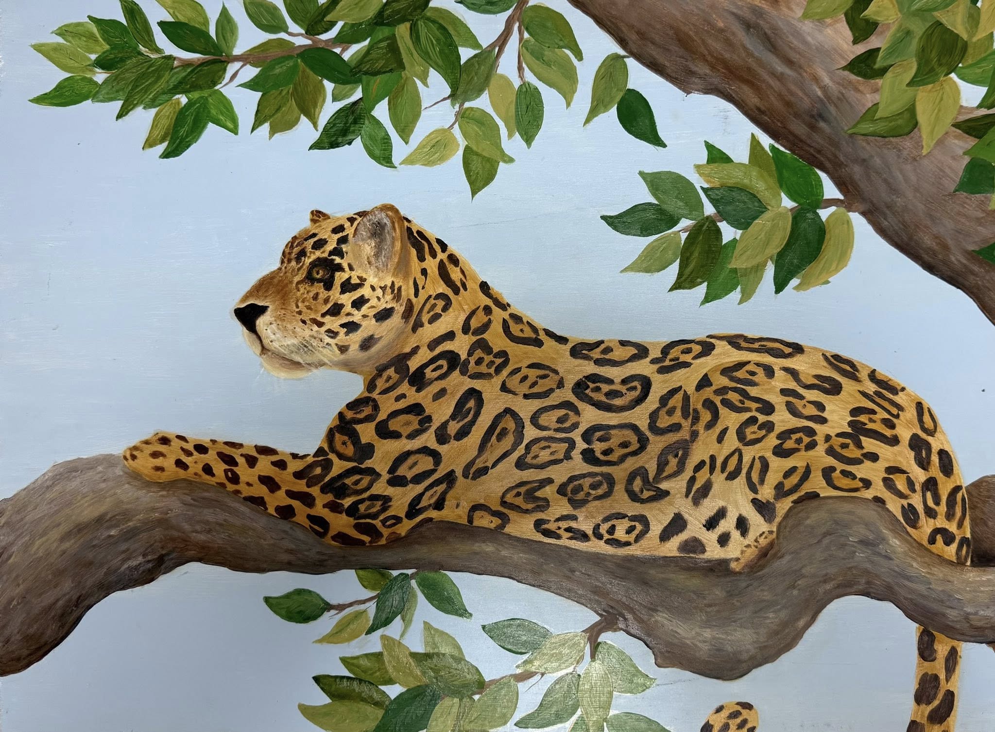 Jaguar at rest