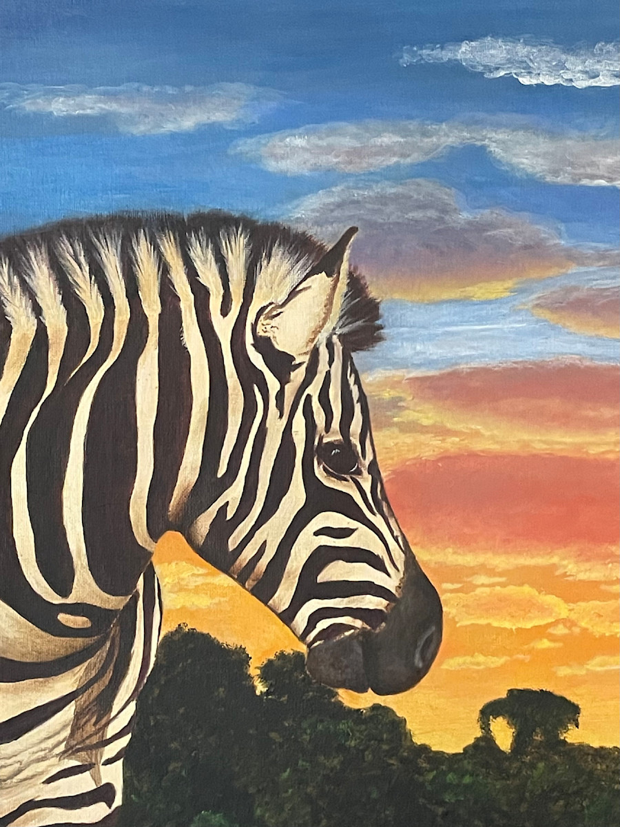 Zebra at sunset